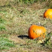 2008-10-07 (023).jpg